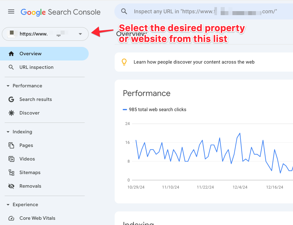 GSC - Select The Website or Property from the Dropdown